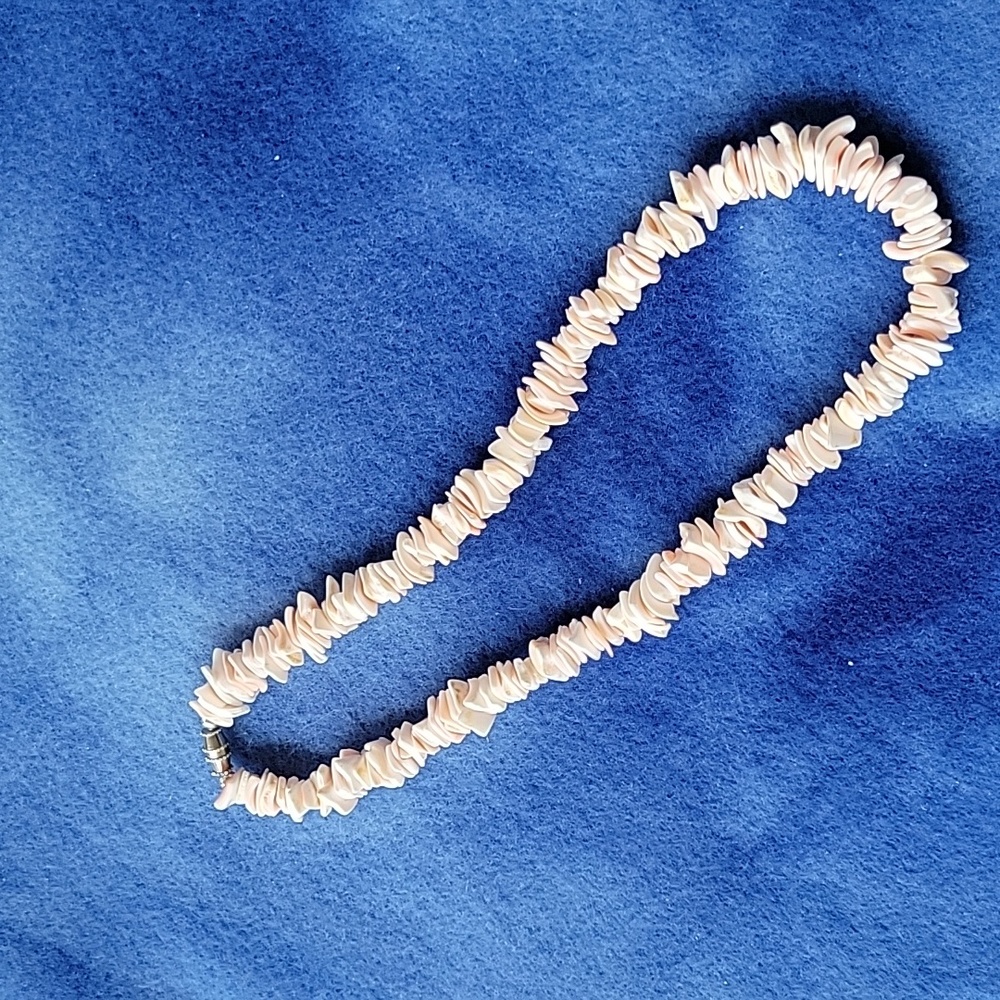 Natural Shell Necklace